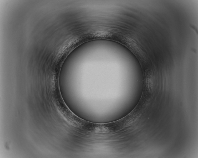 X0000103400591200809191523