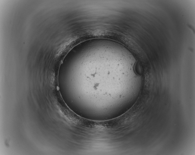 X0000103400592200809191523