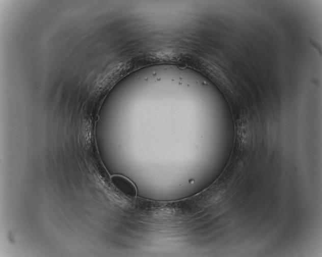 X0000103400593200809191523