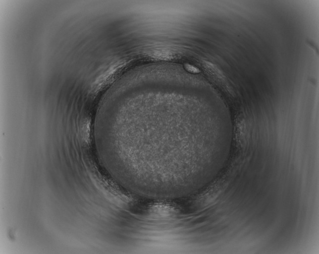 X0000103400596200809191523