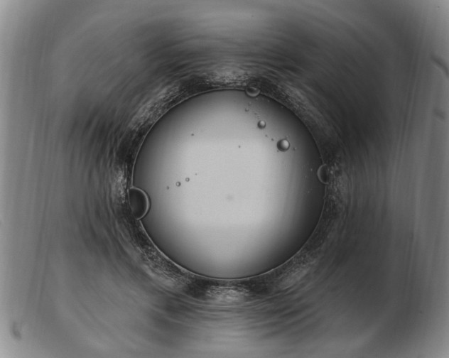 X0000103400597200809191523