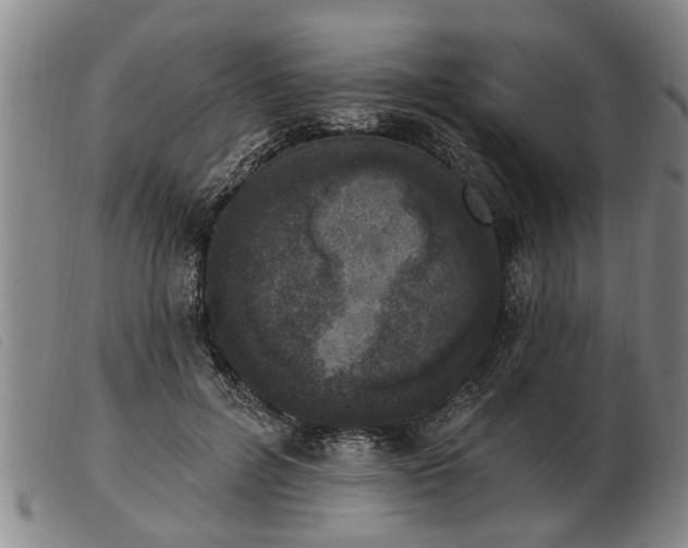 X0000103400600200809191523