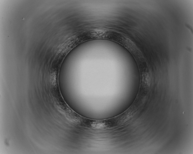 X0000103400602200809191523