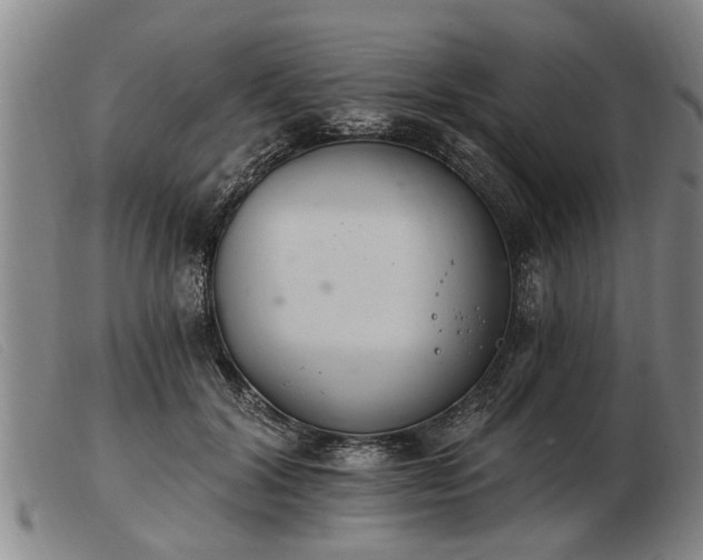 X0000103400604200809191523