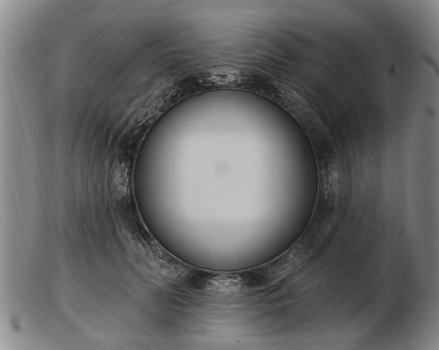 X0000103400606200809191523