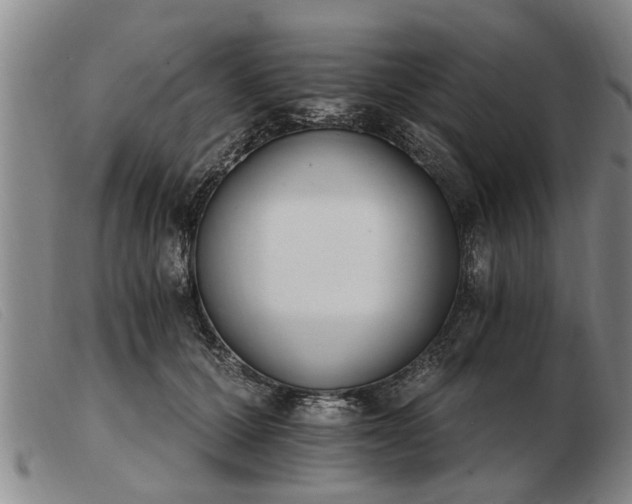 X0000103400607200809191523