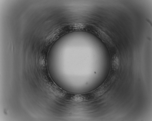 X0000103400608200809191523