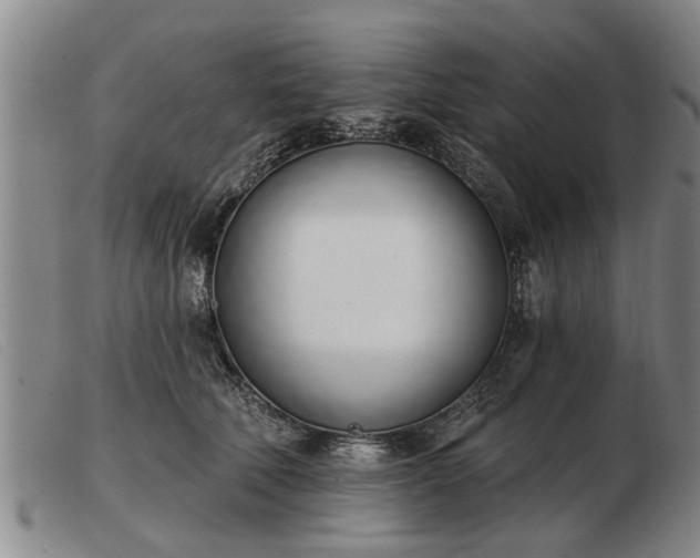 X0000103400610200809191523