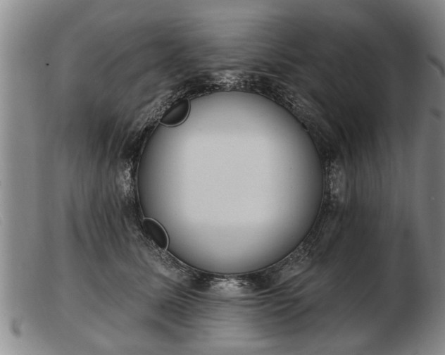 X0000103400611200809191523