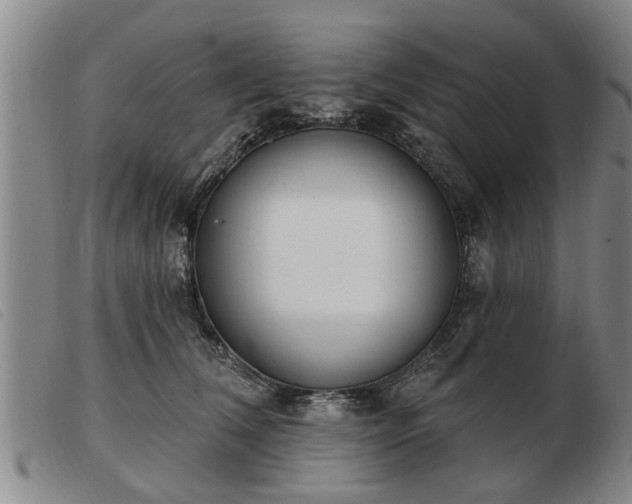 X0000103400612200809191523