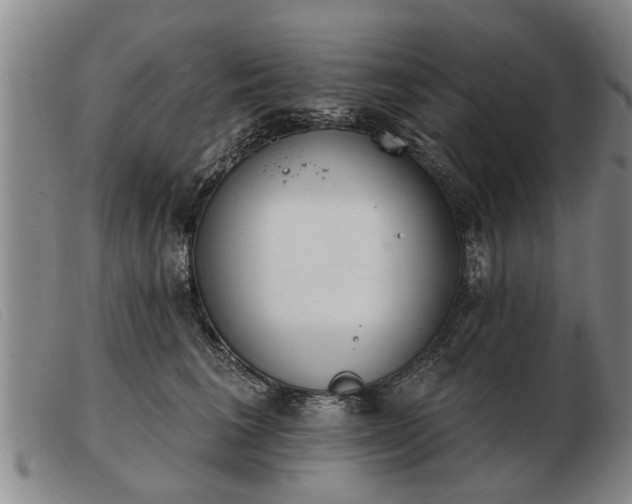 X0000103400613200809191523