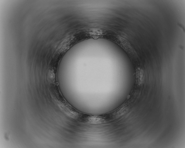 X0000103400614200809191523