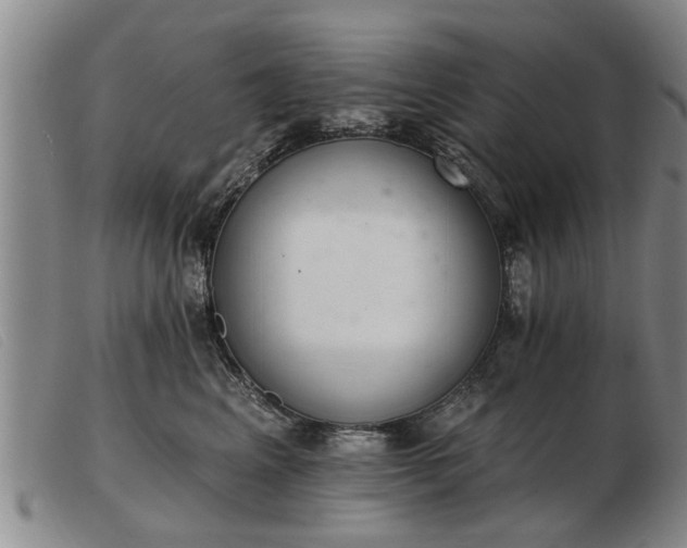 X0000103400617200809191523