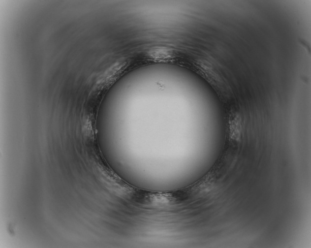 X0000103400618200809191523