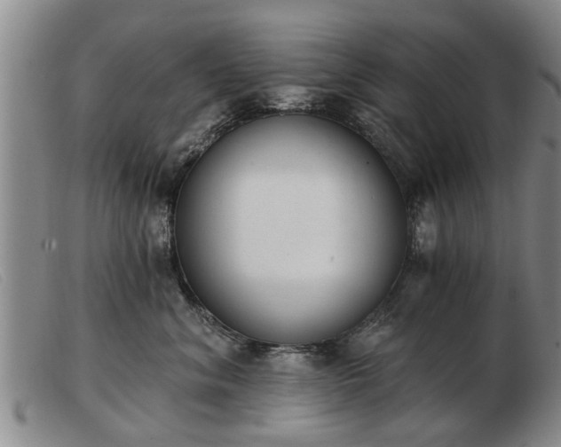 X0000103400620200809191523