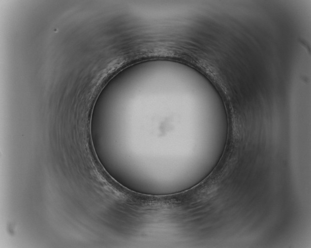 X0000103400625200809191522