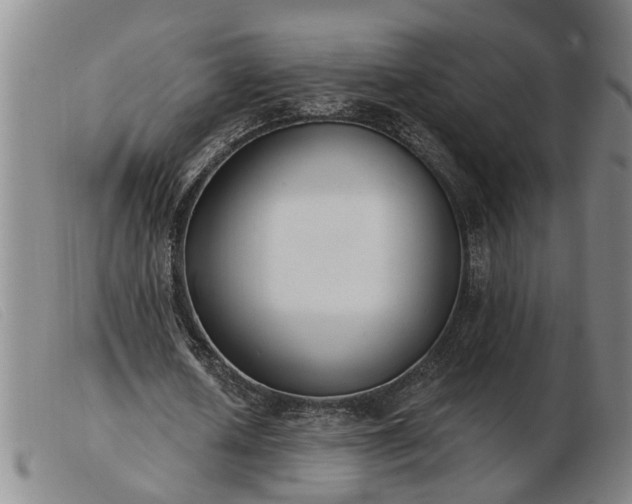 X0000103400626200809191522