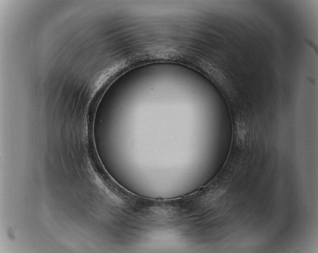 X0000103400630200809191522