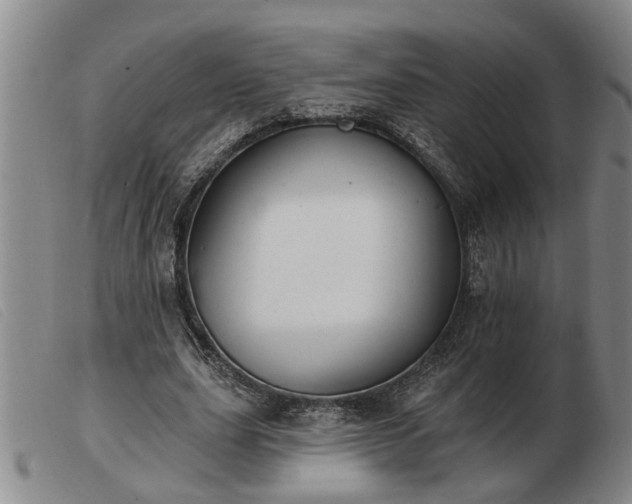 X0000103400631200809191522