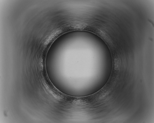 X0000103400634200809191522