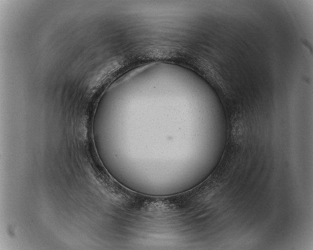 X0000103400635200809191522