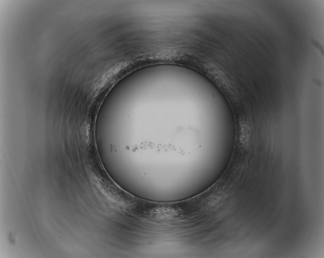 X0000103400636200809191522