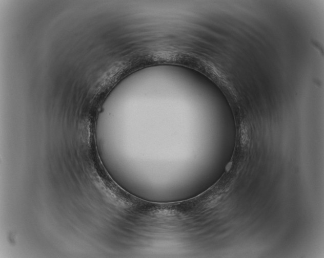 X0000103400637200809191522