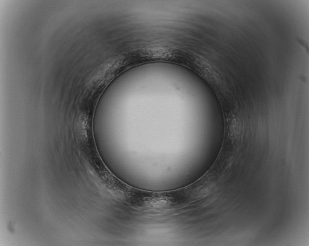 X0000103400643200809191522