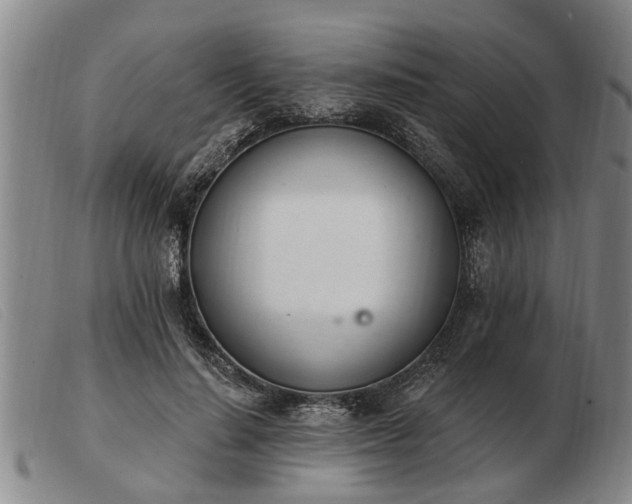 X0000103400644200809191522