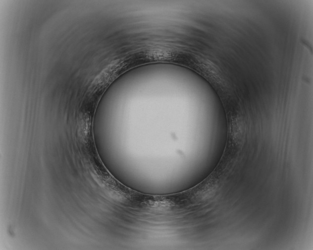 X0000103400645200809191522