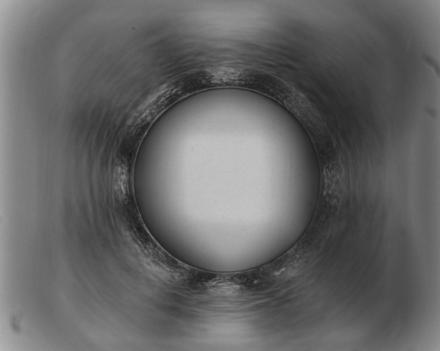 X0000103400648200809191523