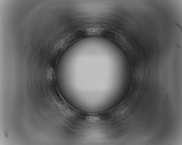 X0000103400649200809191523