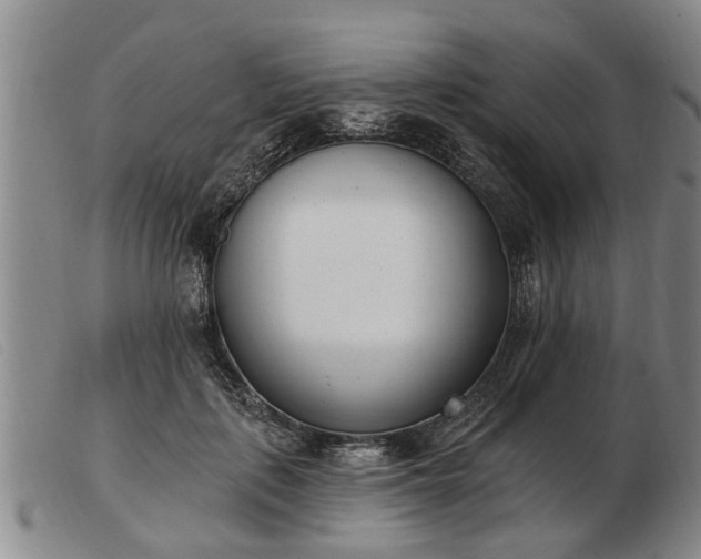 X0000103400651200809191523