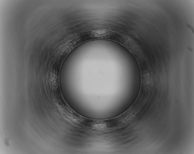 X0000103400653200809191523