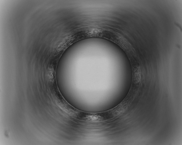 X0000103400654200809191523