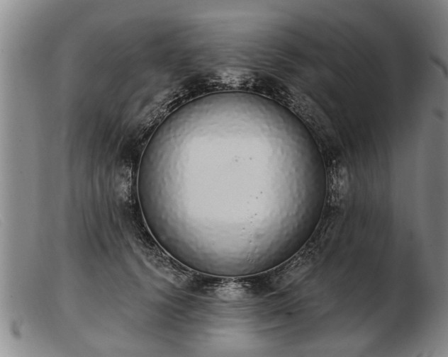 X0000103400656200809191523