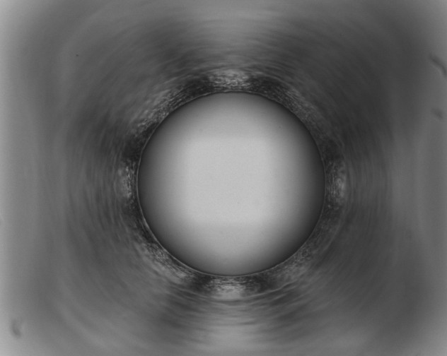 X0000103400658200809191523