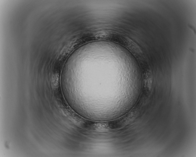 X0000103400660200809191523