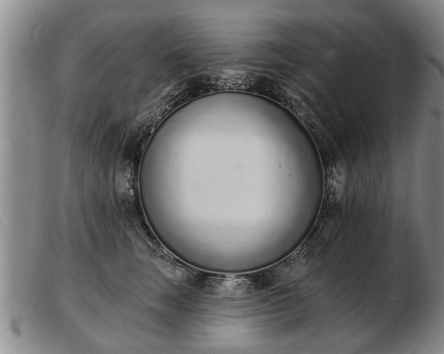 X0000103400663200809191523