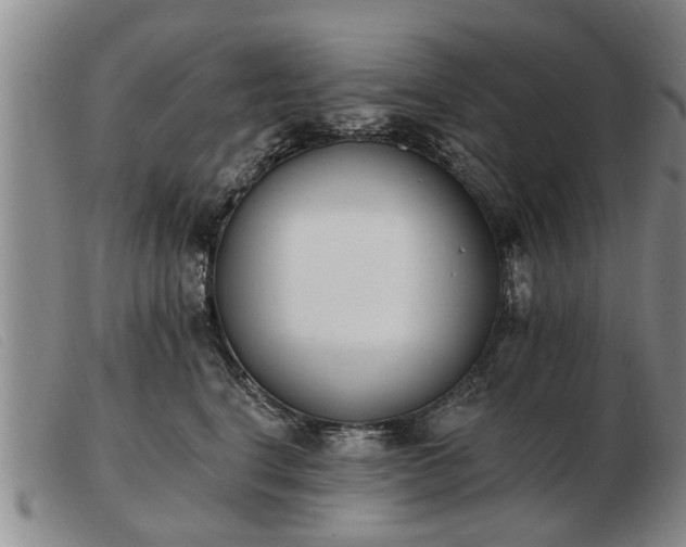 X0000103400664200809191523