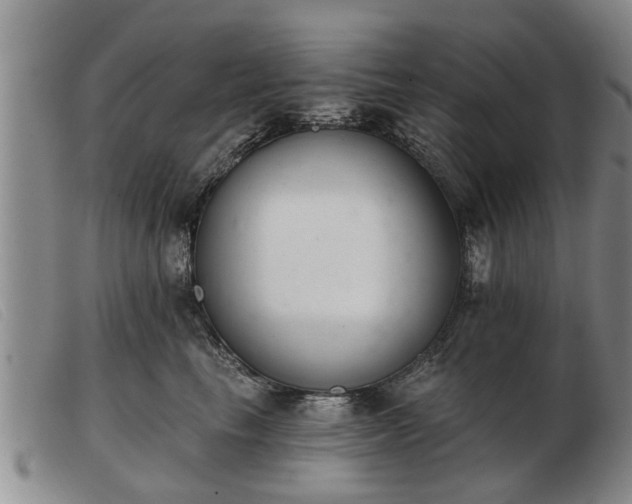 X0000103400665200809191523