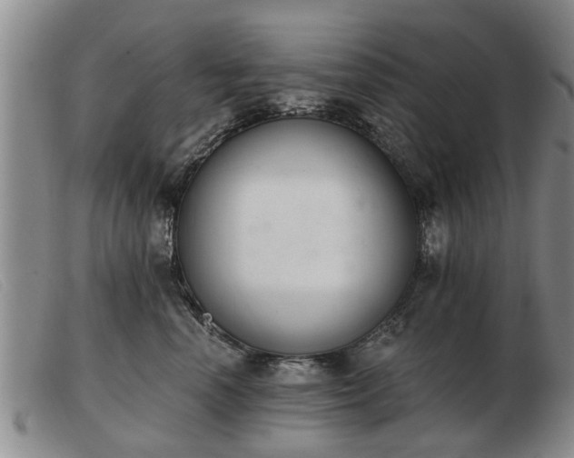 X0000103400666200809191523