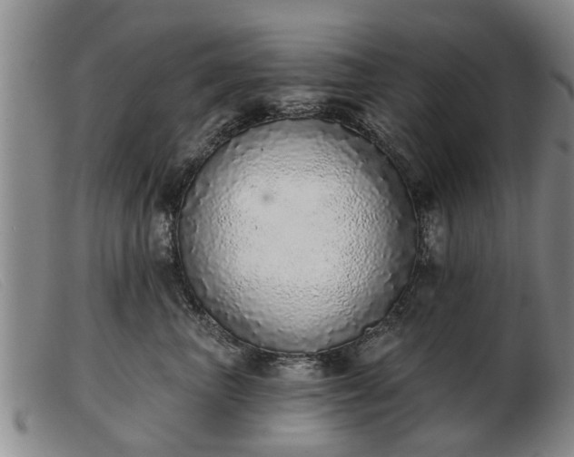 X0000103400667200809191523