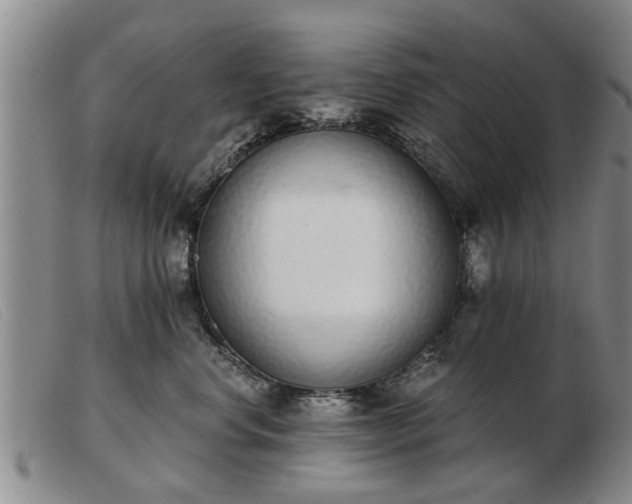 X0000103400668200809191523