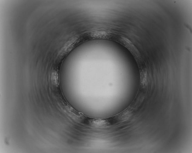 X0000103400669200809191523