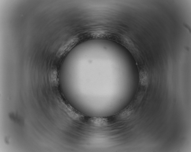 X0000103400670200809191523