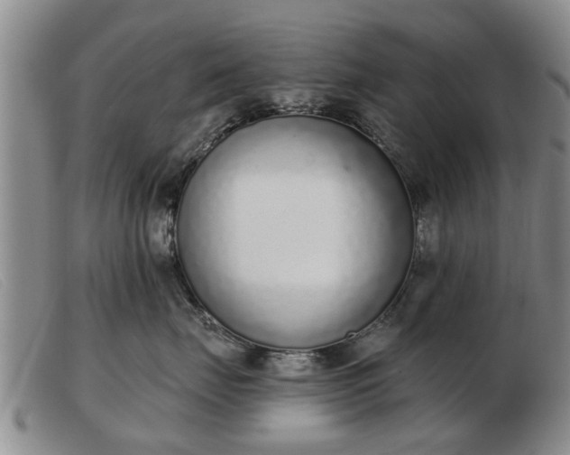 X0000103400671200809191523