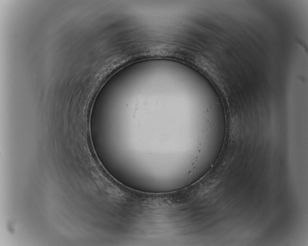 X0000103400673200809191522