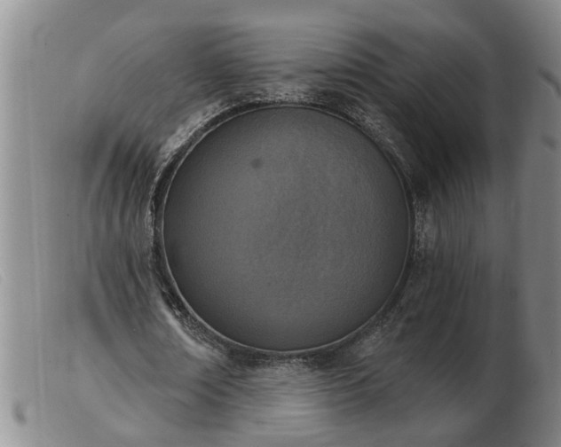 X0000103400674200809191522