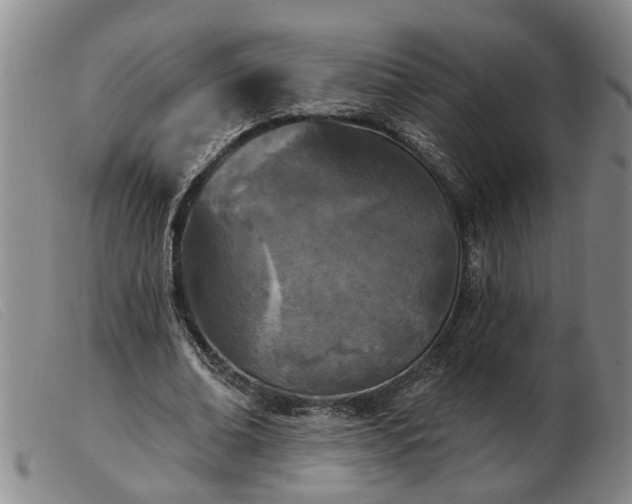 X0000103400678200809191522